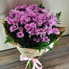 Букет цветов из:  Хризантемы #REPLACE_PRED# Малышево