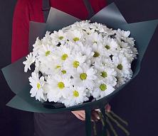 Букет цветов из:  Хризантемы #REPLACE_PRED# Малышево