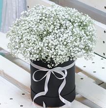Цветочная композиция из Гипсофила в шляпной коробке #REPLACE_PRED# Малышево