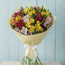 Букет цветов из:  Альстромерии #REPLACE_PRED# Малышево