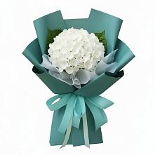 Букет цветов из:  Гортензия в Малышево